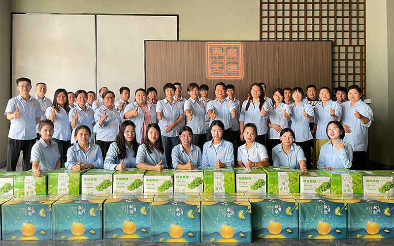 중국 Shenzhen Huasheng Industrial Control CO.,LTD 회사 프로필